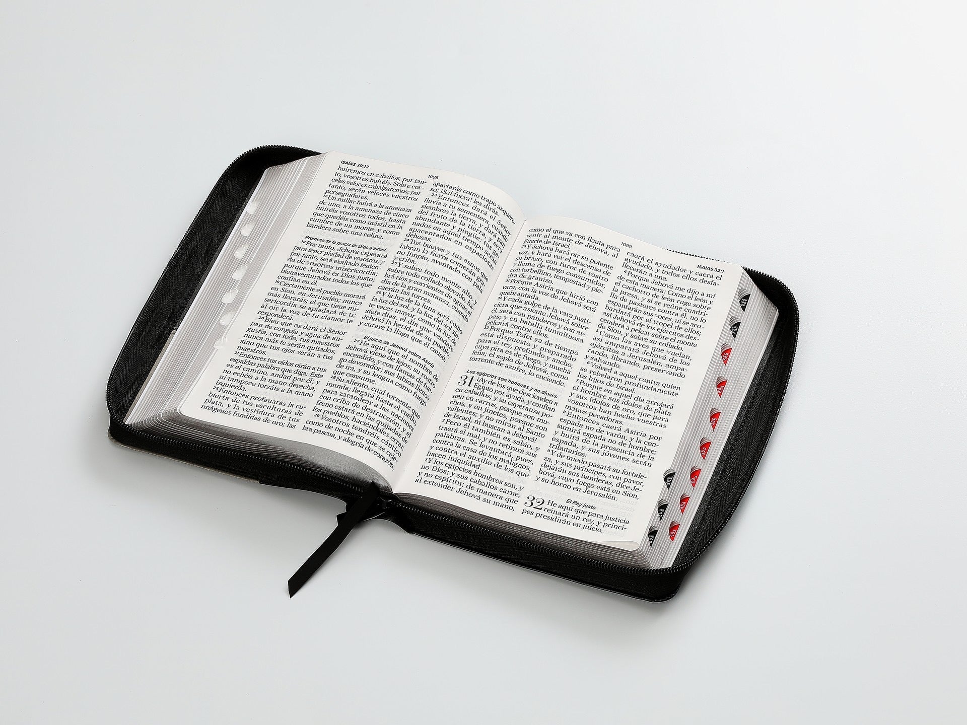 Libreria Cristiana Arca
