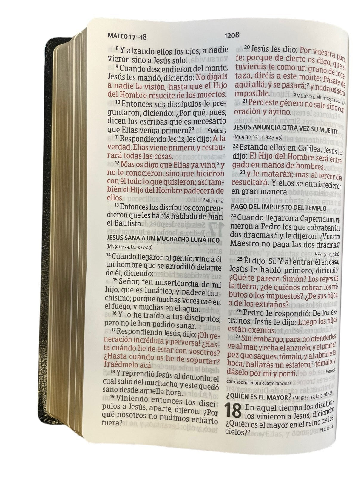 Biblia RVR 1960 Letra Gigante Negro Imitación Piel