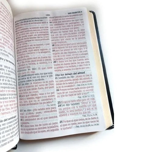 Biblia RVR 1960 Letra Grande Tamaño Manual Maxiconcordancia