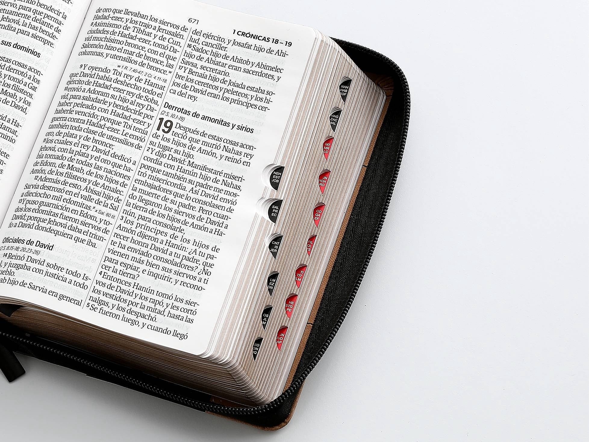 Libreria Cristiana Arca