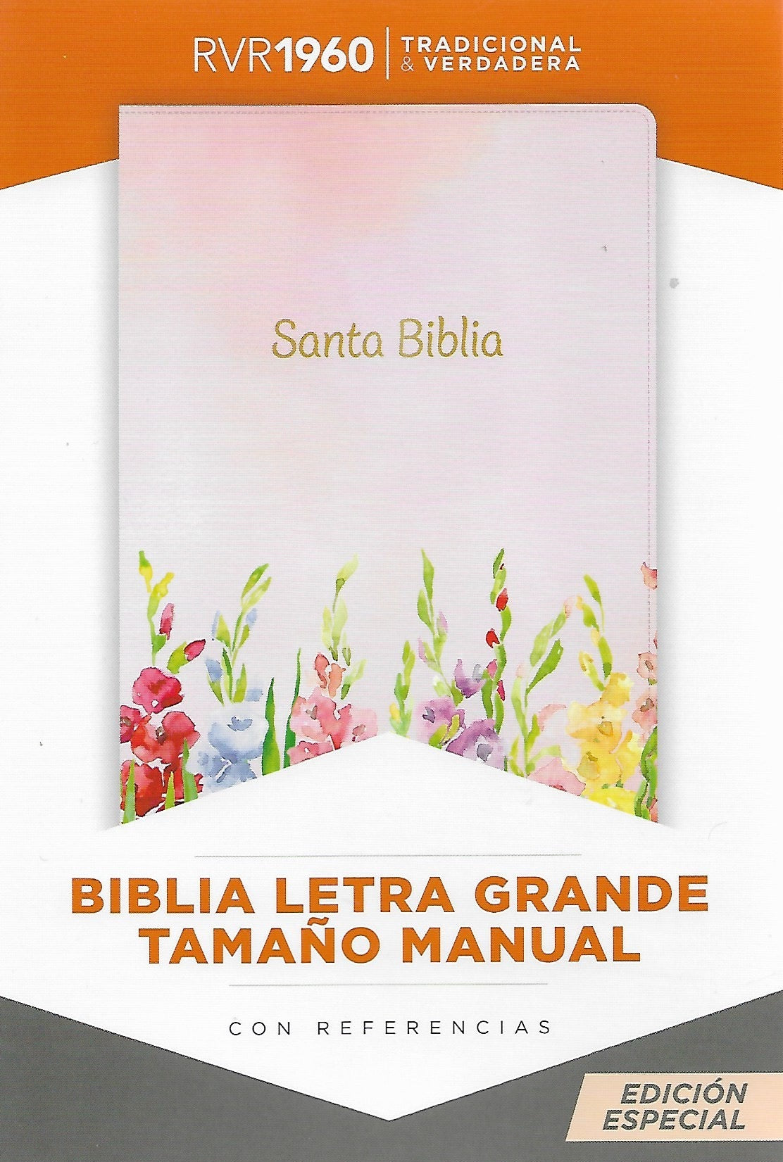 Libreria Cristiana Arca