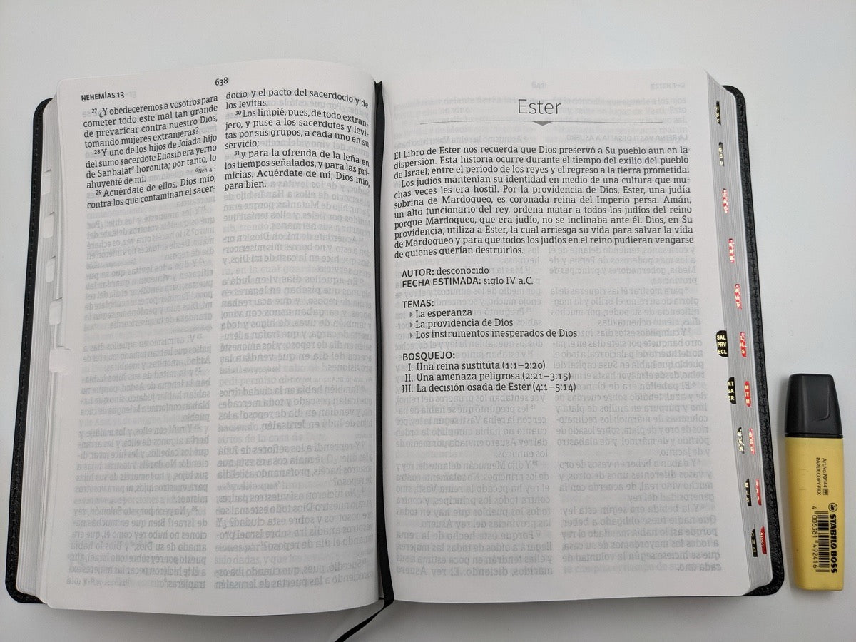 Libreria Cristiana Arca