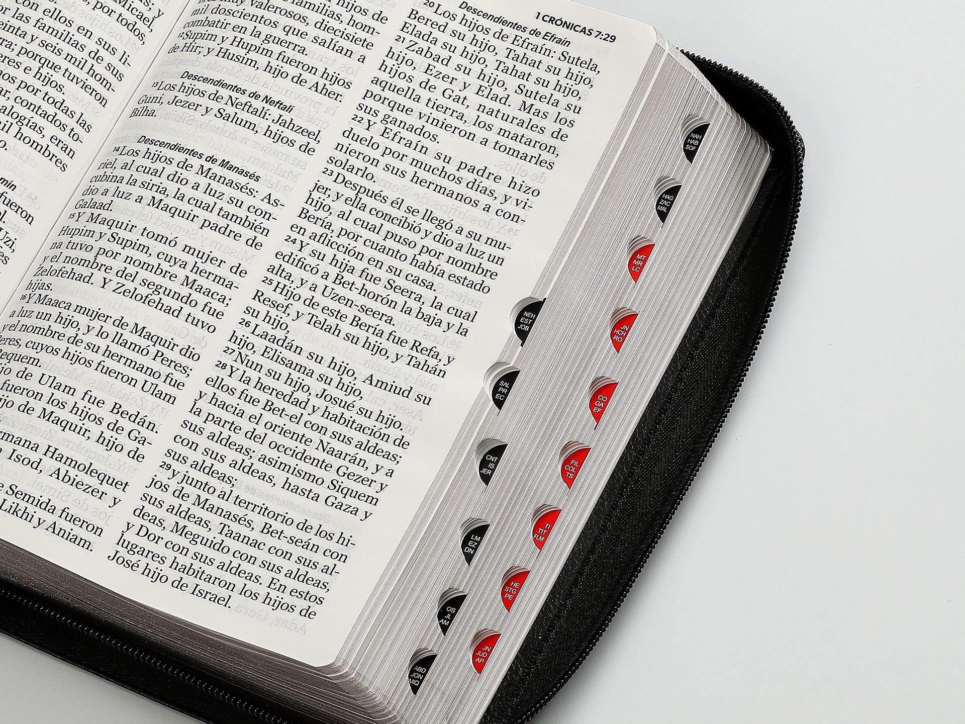 Biblia RVR60 Tamaño manual letra Gigante gris