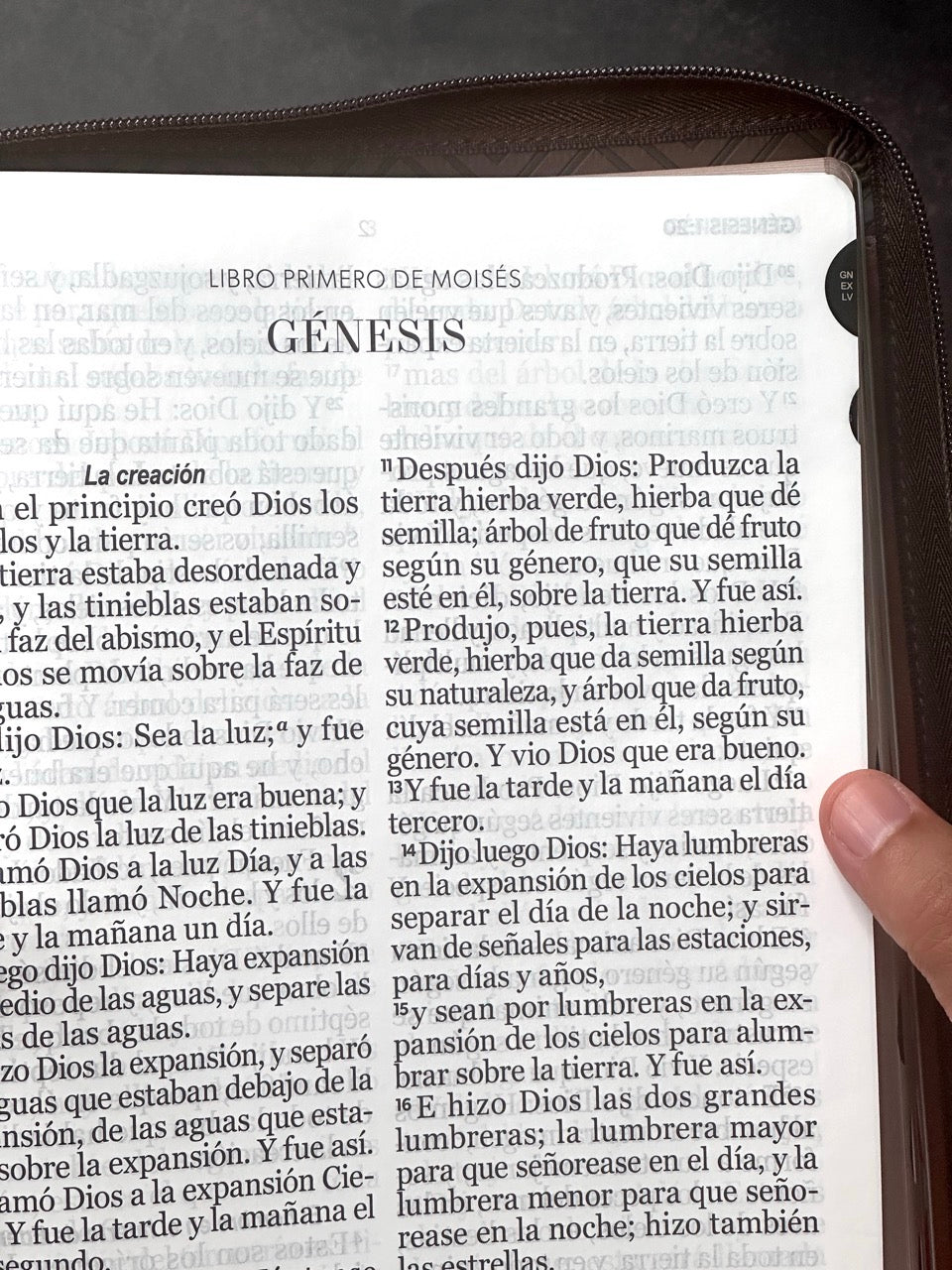Libreria Cristiana Arca