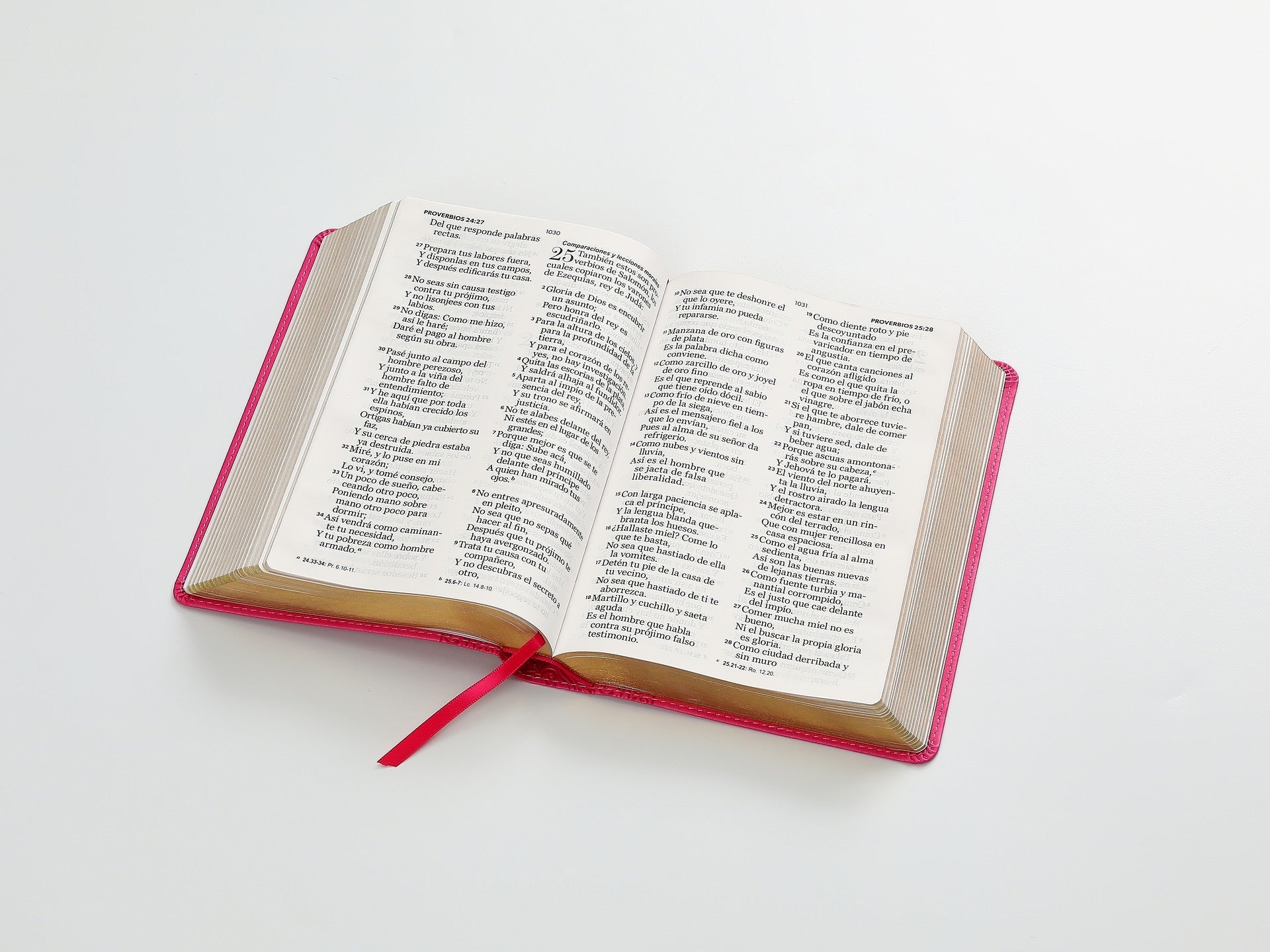 Libreria Cristiana Arca
