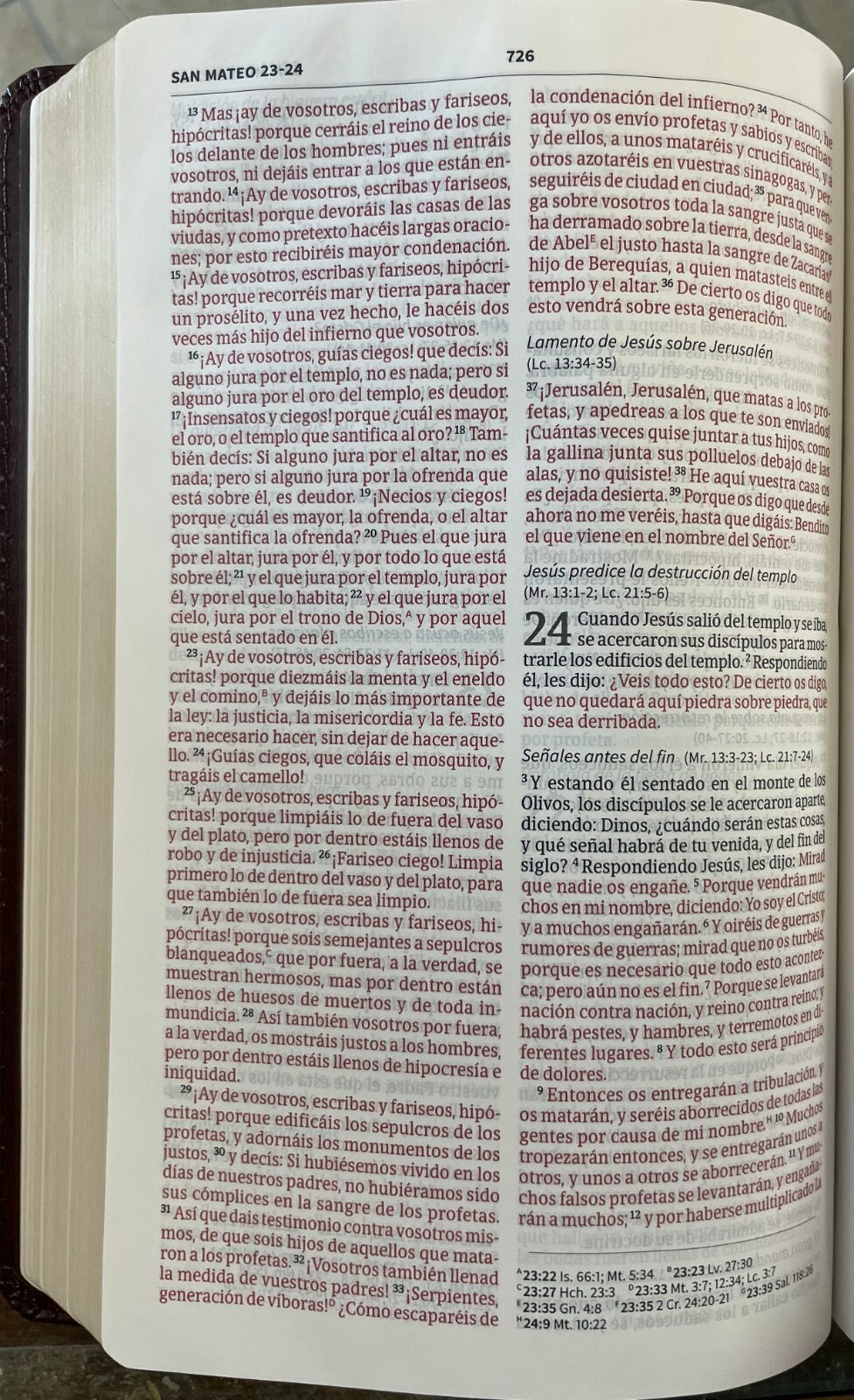 Biblia RVR 1960 del Ministro