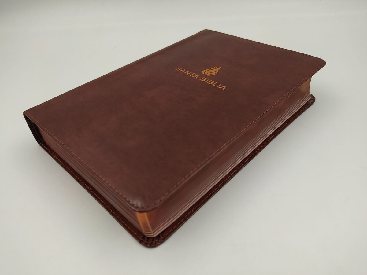 Libreria Cristiana Arca