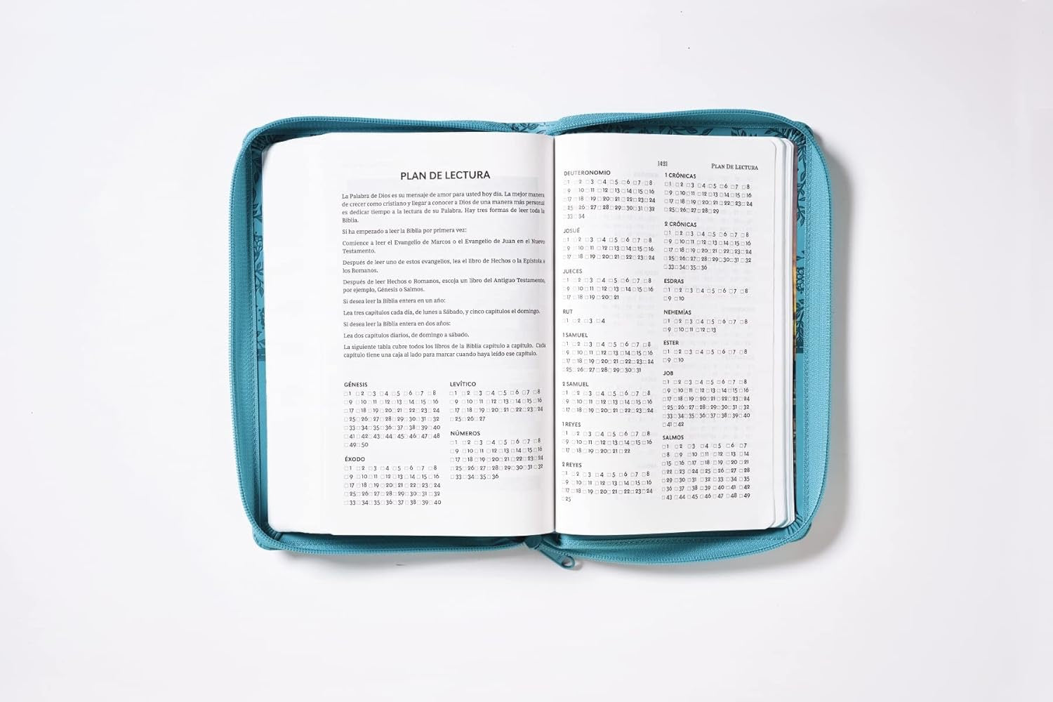 Biblia RVR 1960 Tierra Santa Ultrafina Letra Grande