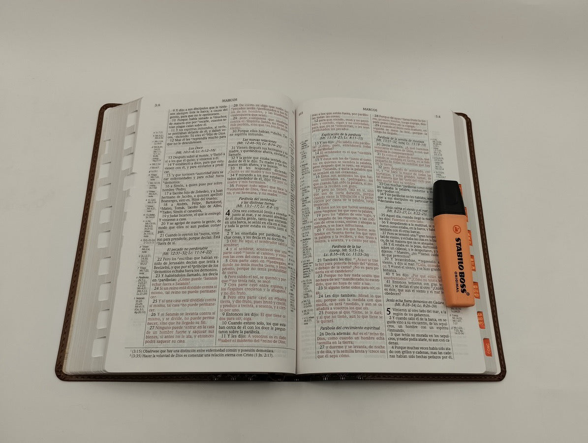 Libreria Cristiana Arca