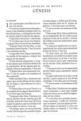 Biblia RVR 1960 Tamaño Manual Símil Piel Café con Índice