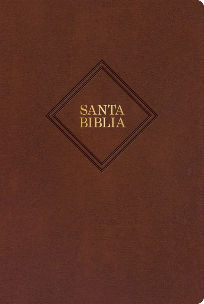 Libreria Cristiana Arca