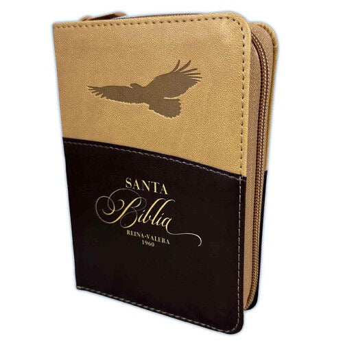 Libreria Cristiana Arca