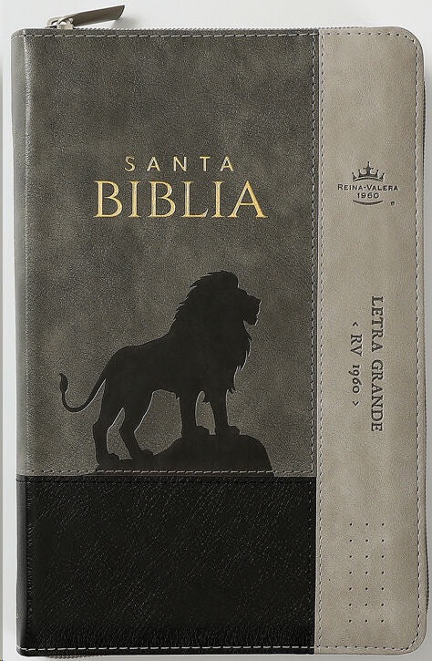 Libreria Cristiana Arca