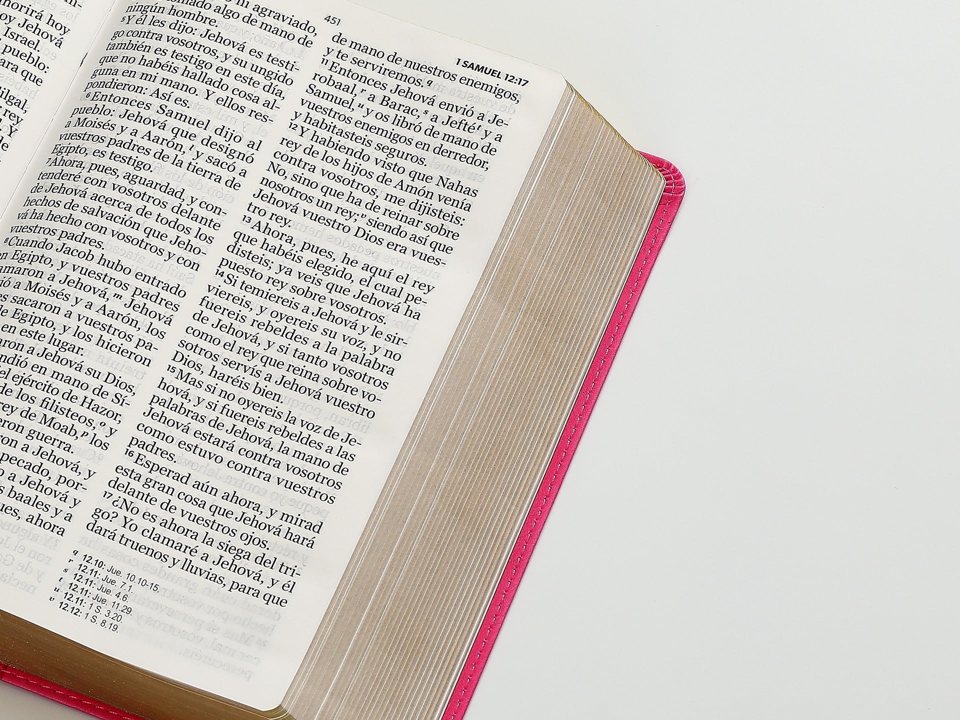 Biblia RVR60 Tamaño manual letra Gigante Fucsia