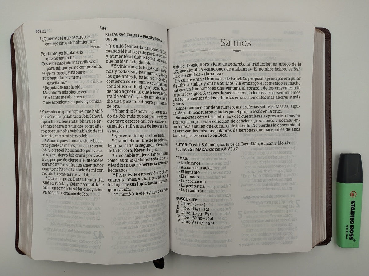 Libreria Cristiana Arca