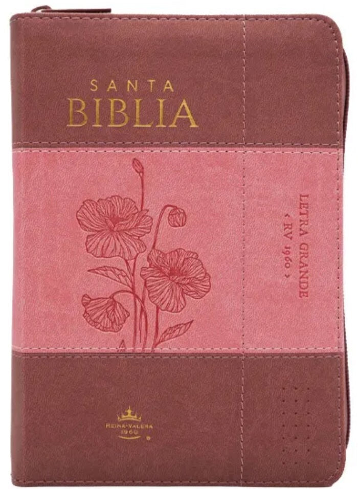 Libreria Cristiana Arca