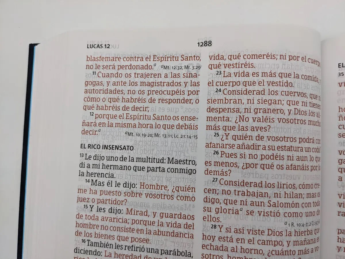Biblia RVR 1960 Letra Súper Gigante