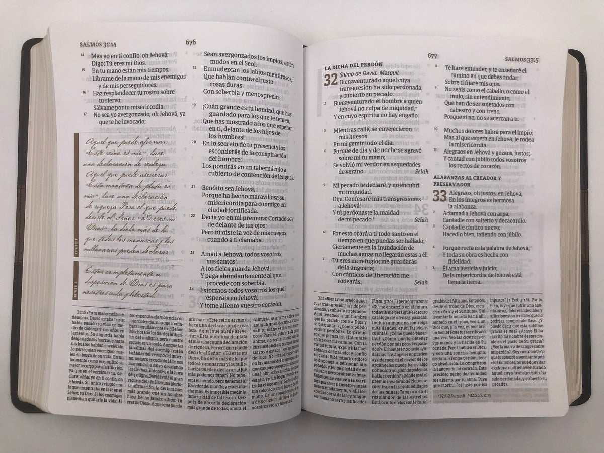 Biblia RVR 1960 de Estudio Spurgeon simi piel