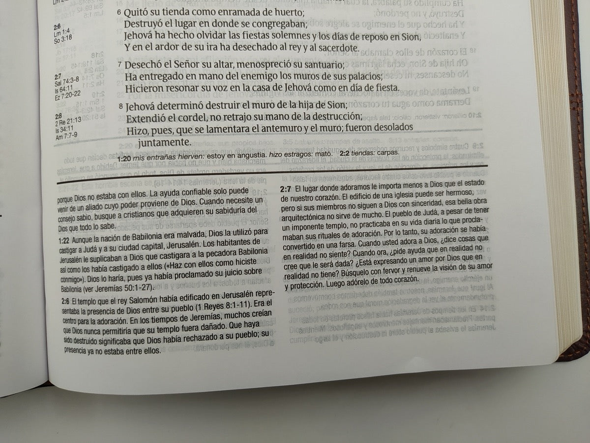 Biblia RVR 1960 de Estudio Diario Vivir Café