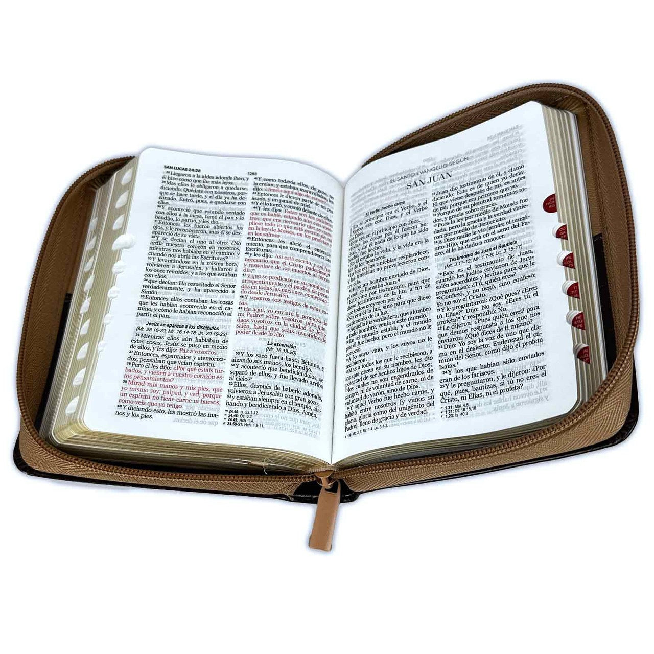 Biblia RVR60 bolsillo aguila