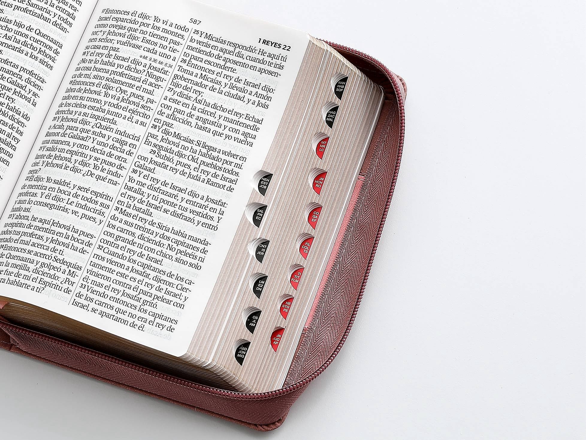 Libreria Cristiana Arca