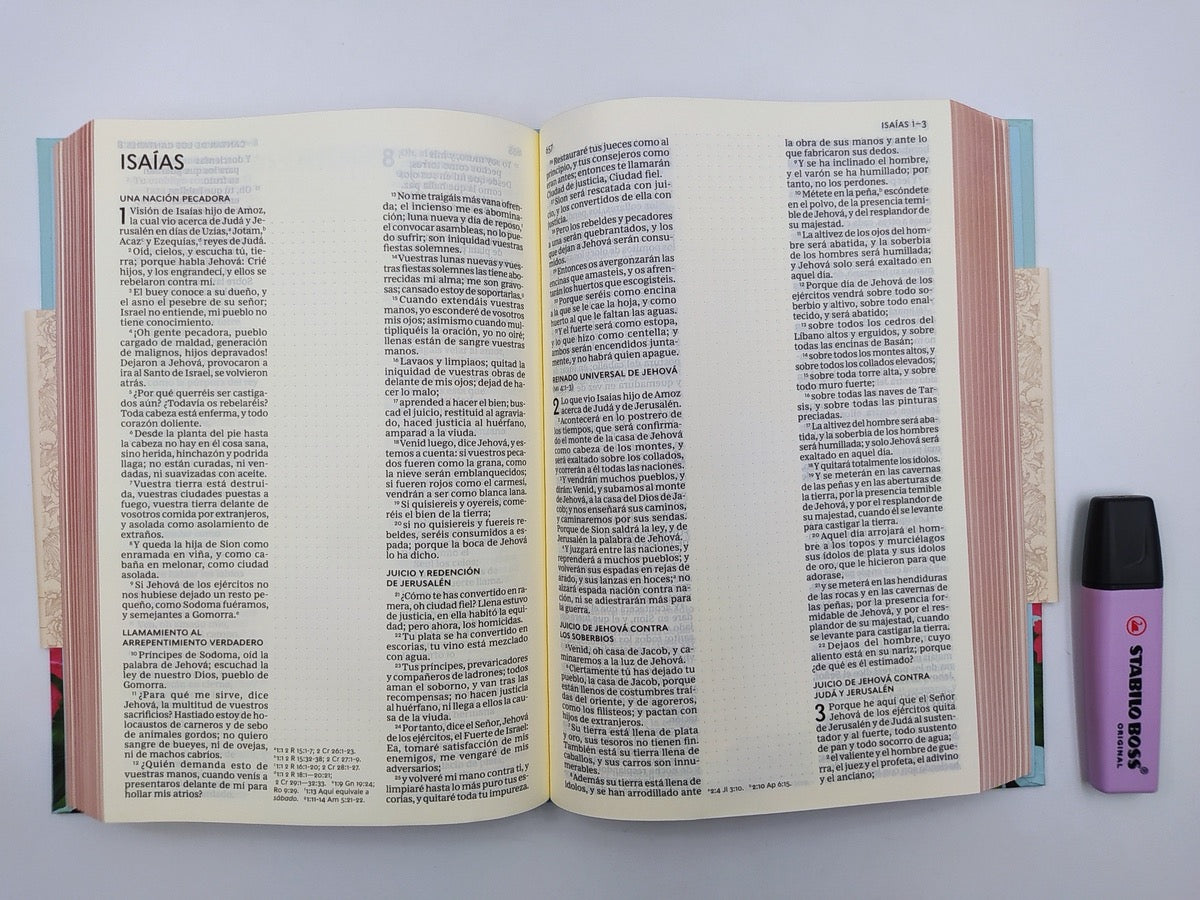 Biblia RVR 1960 Artística