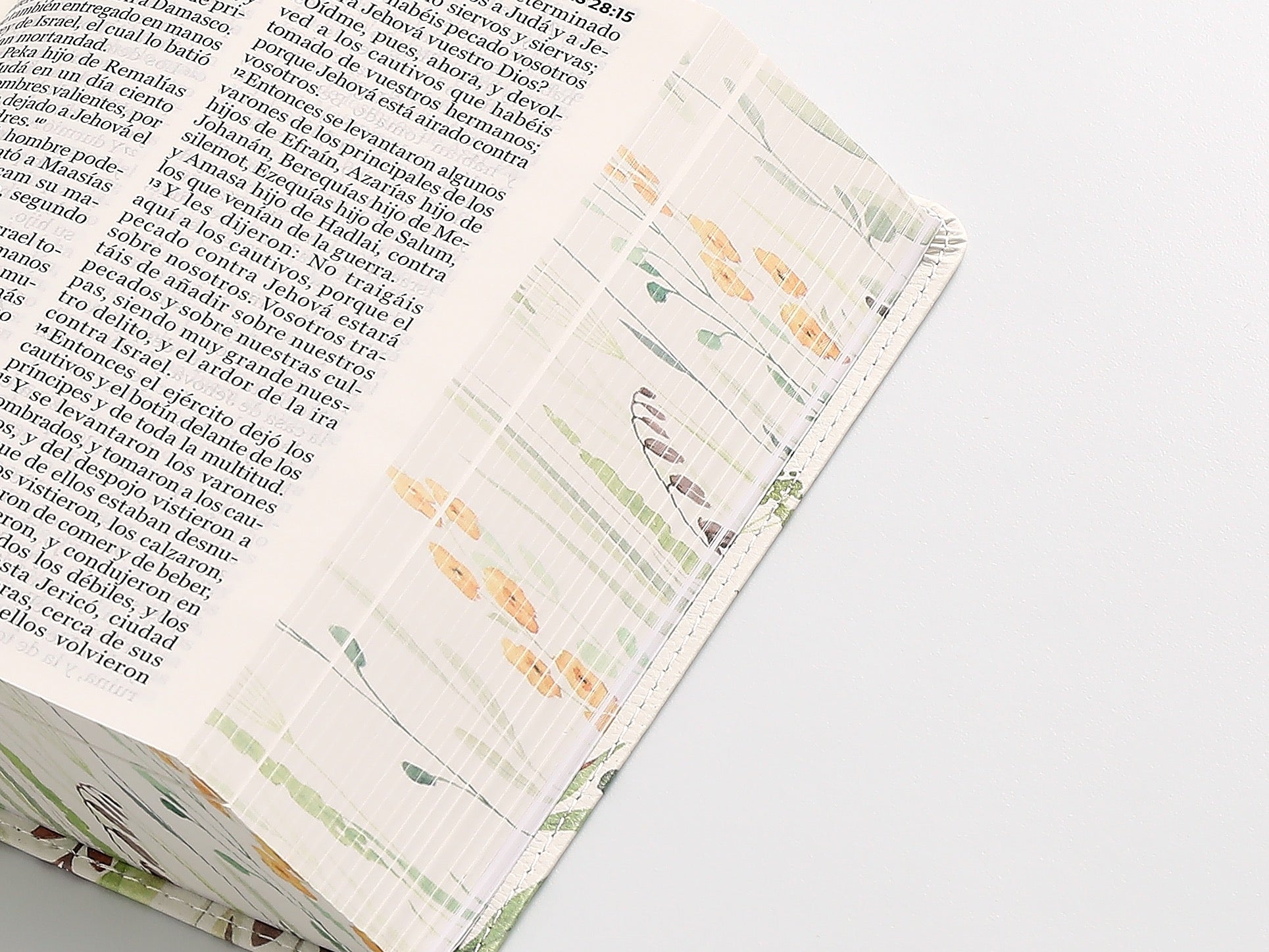 Biblia RVR 1960 Letra Grande Tamaño Manual