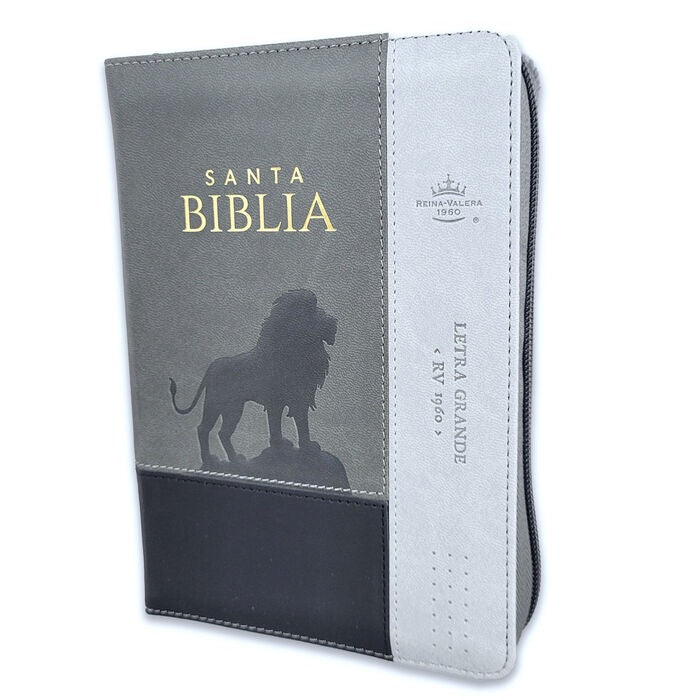 Libreria Cristiana Arca