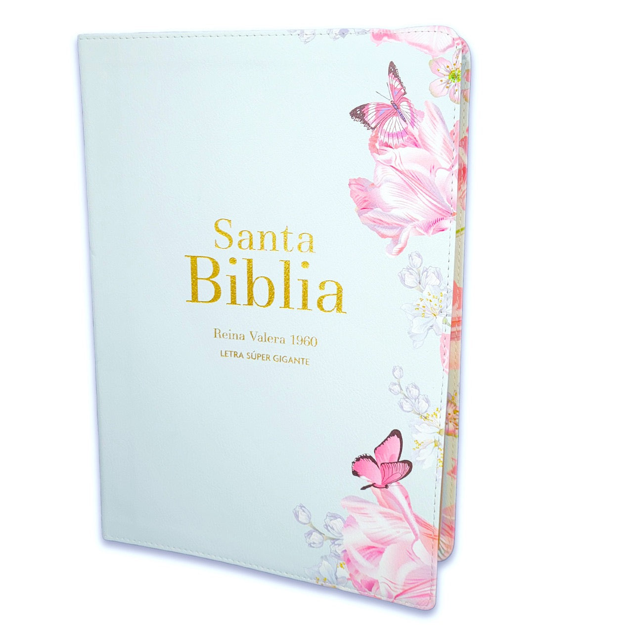Libreria Cristiana Arca