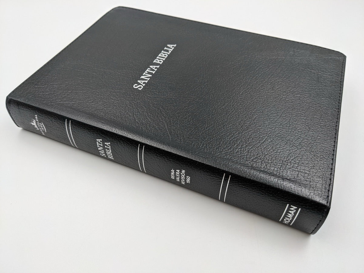 Libreria Cristiana Arca