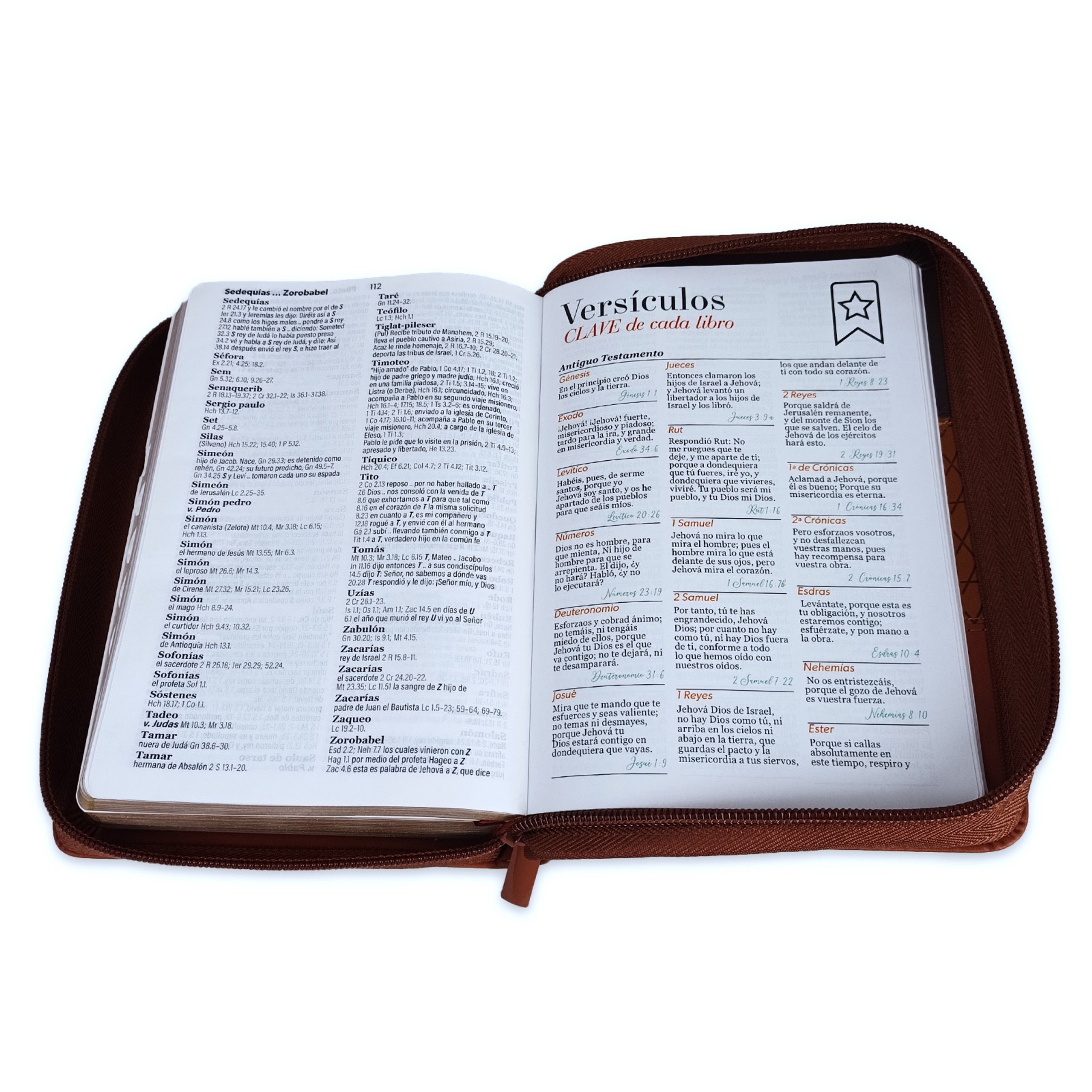 Libreria Cristiana Arca