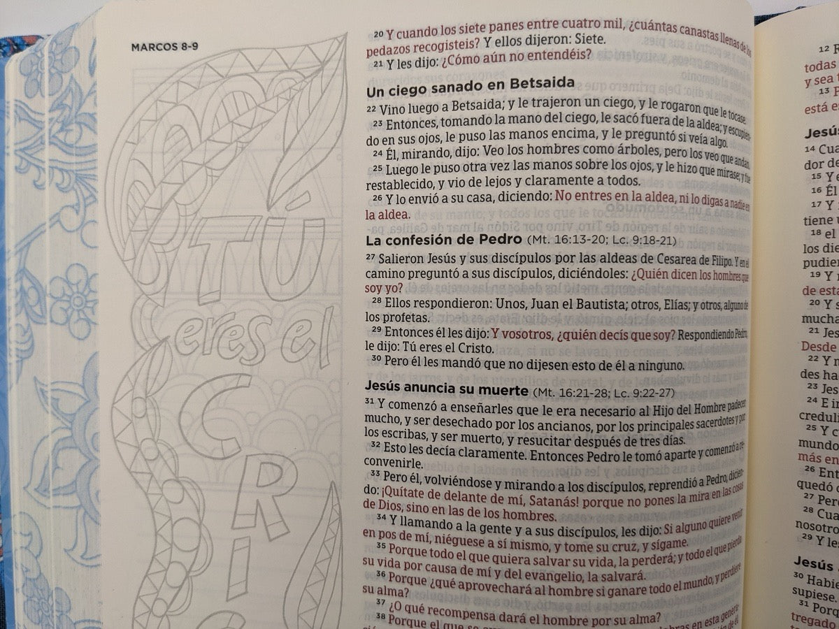 Libreria Cristiana Arca