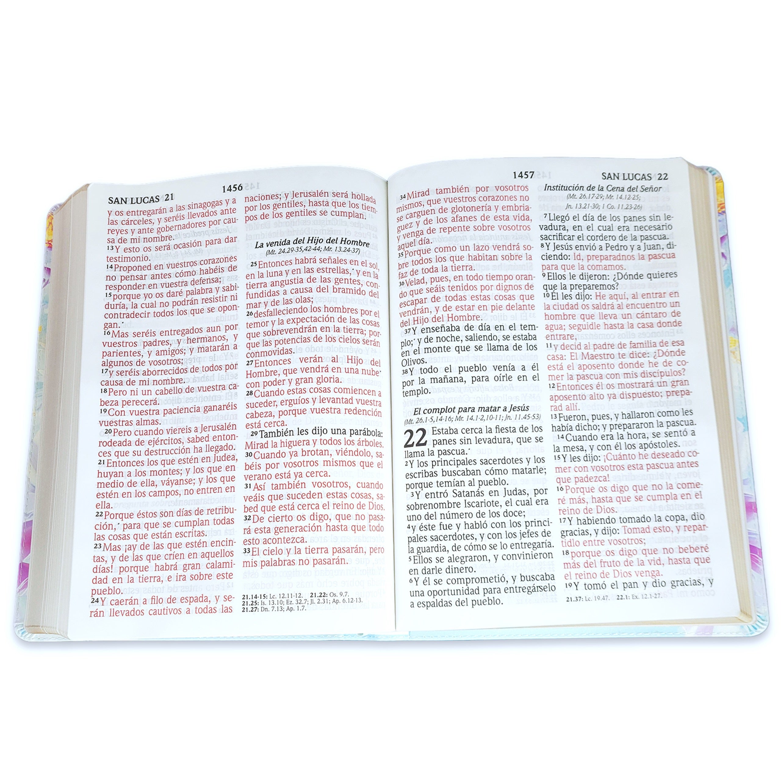 Biblia RVR 1960 Letra Súper Gigante