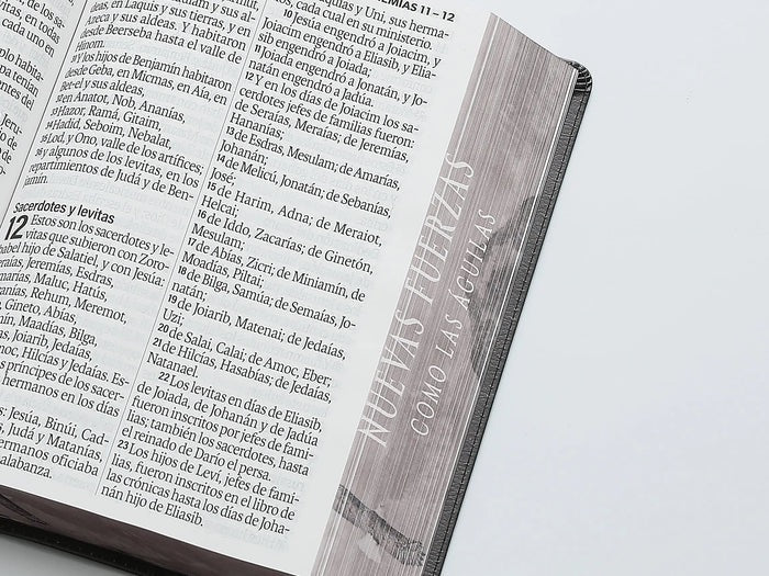 Biblia RVR60 Letra Súper Gigante