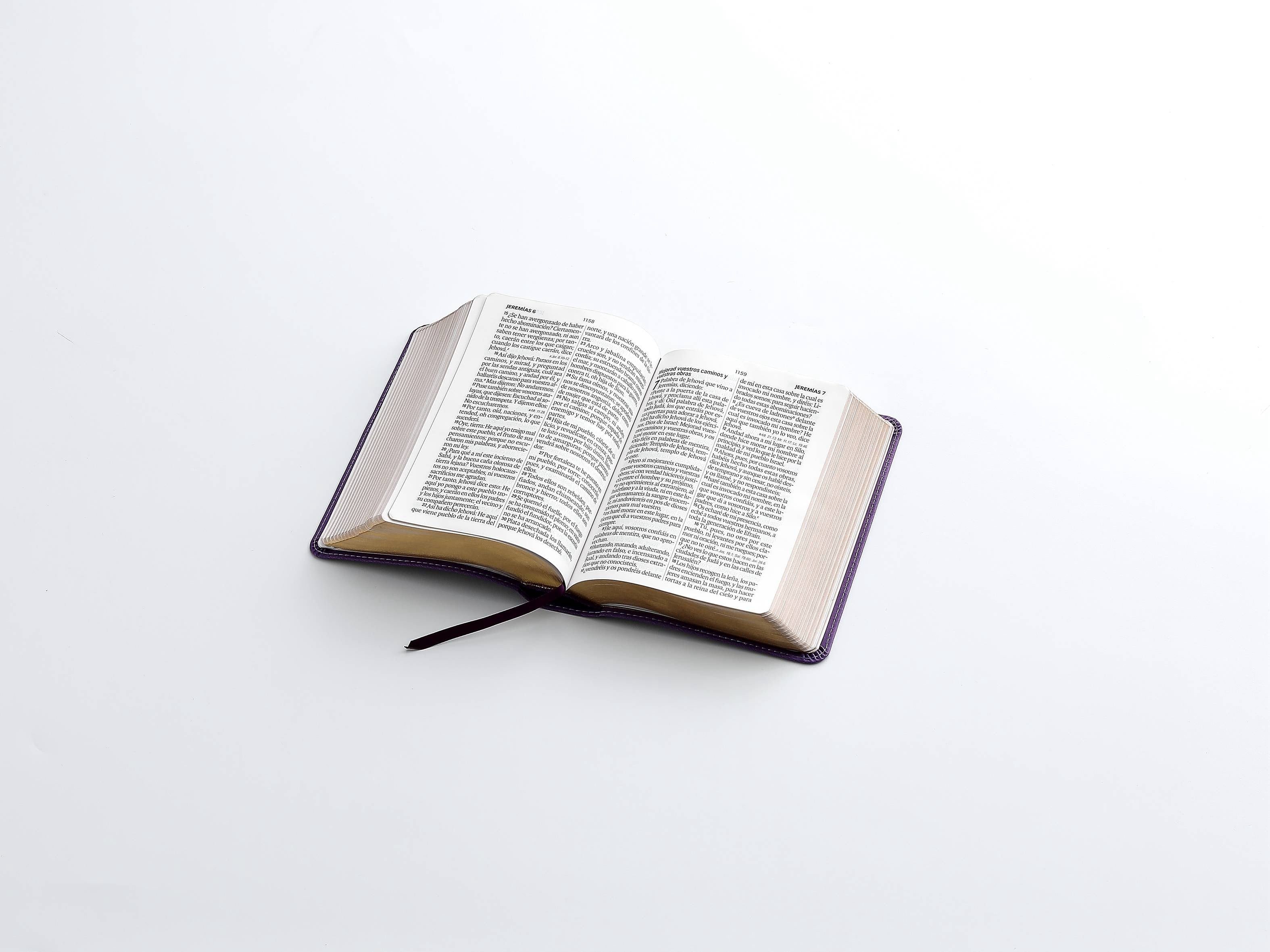 Libreria Cristiana Arca