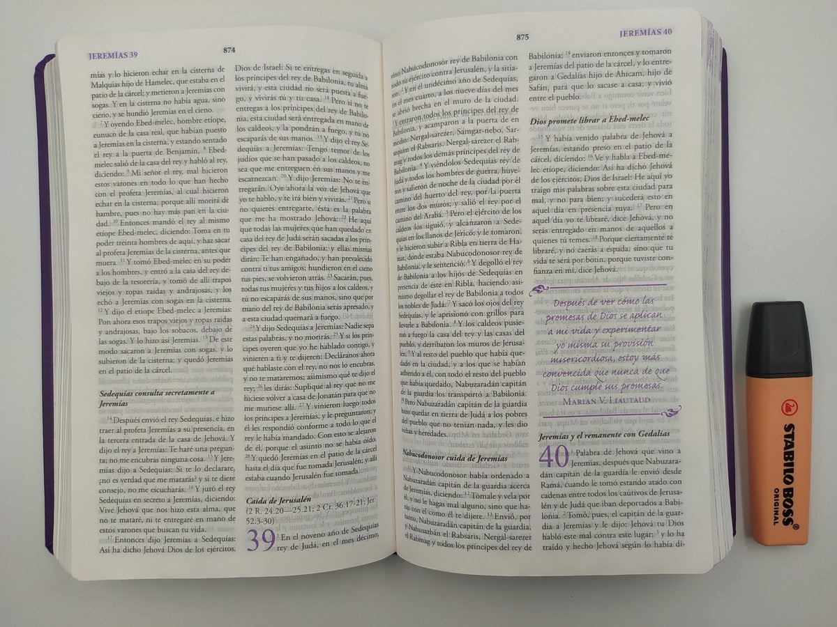 Biblia RVR 1960 Mujer de Hoy