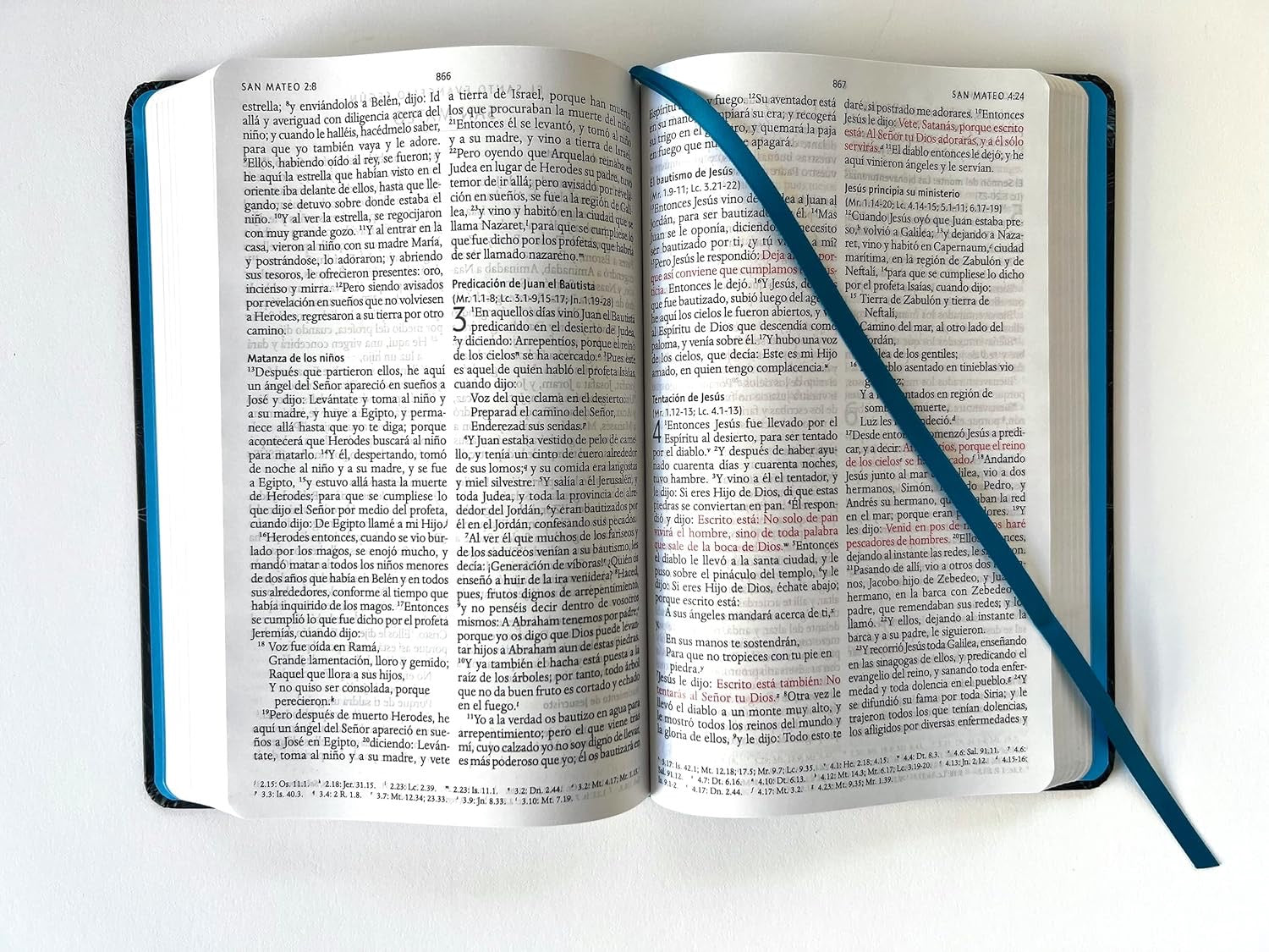 Libreria Cristiana Arca