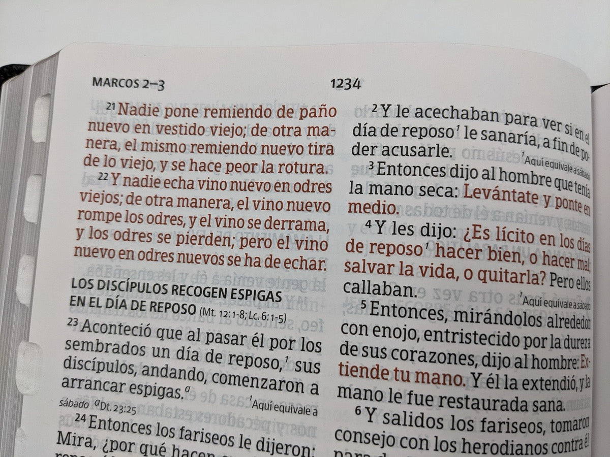 Biblia RVR 1960 Letra Gigante Piel con indice