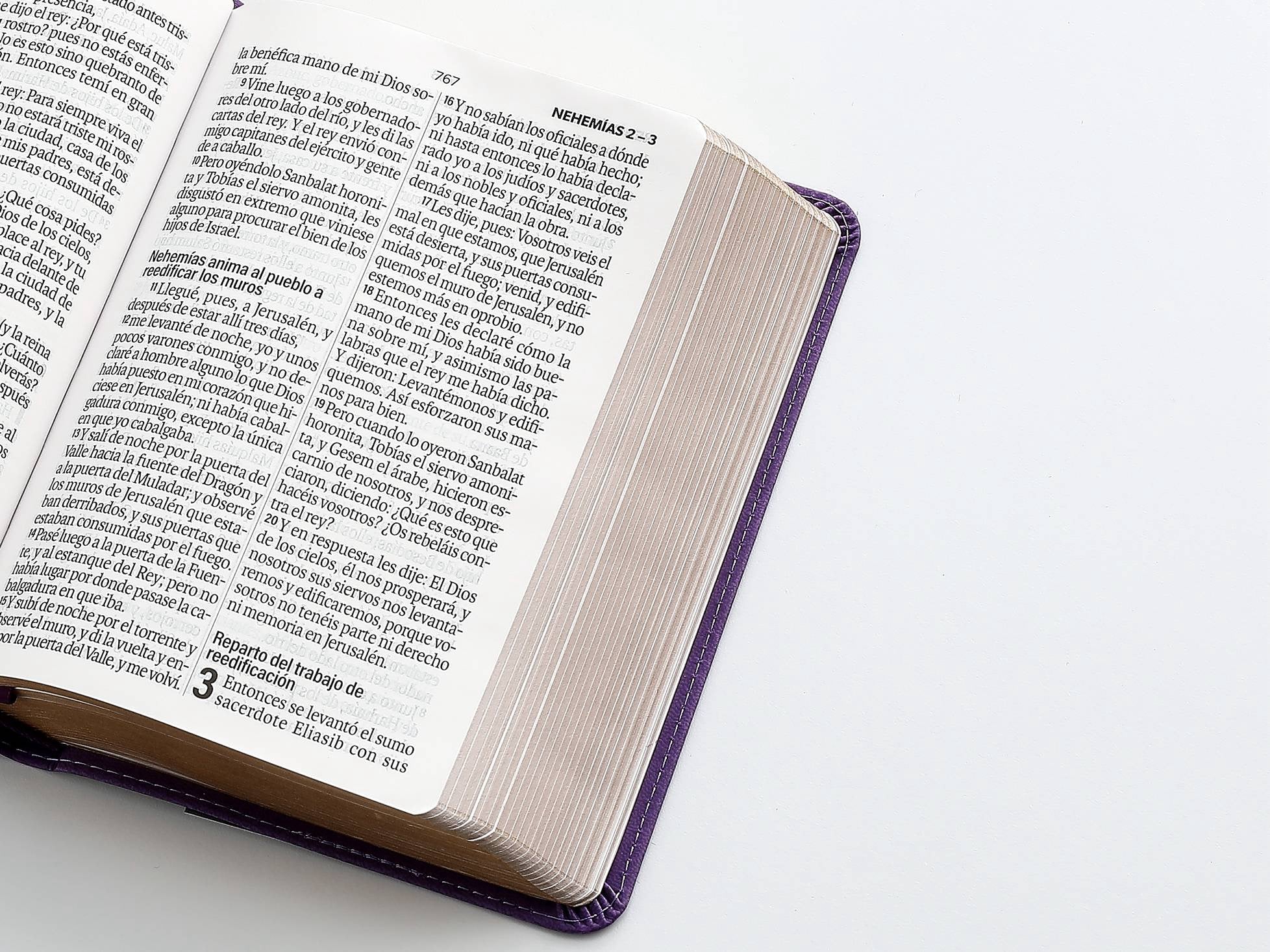 Biblia RVR60 Tamaño Compacto Letra Grande 12 puntos