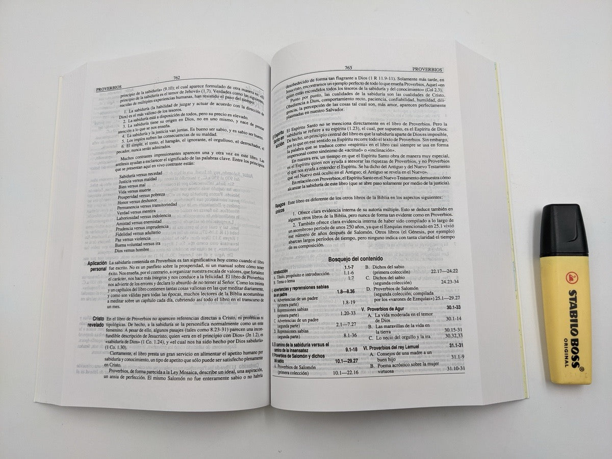 Biblia RVR 1960 de Estudio Plenitud Rústica