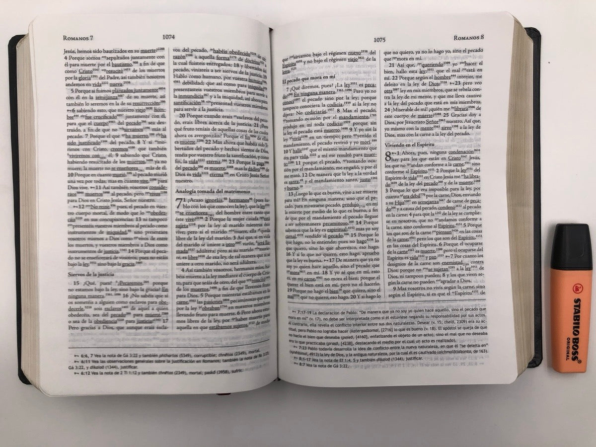 Biblia RVR 1960 de Estudio Palabra Clave