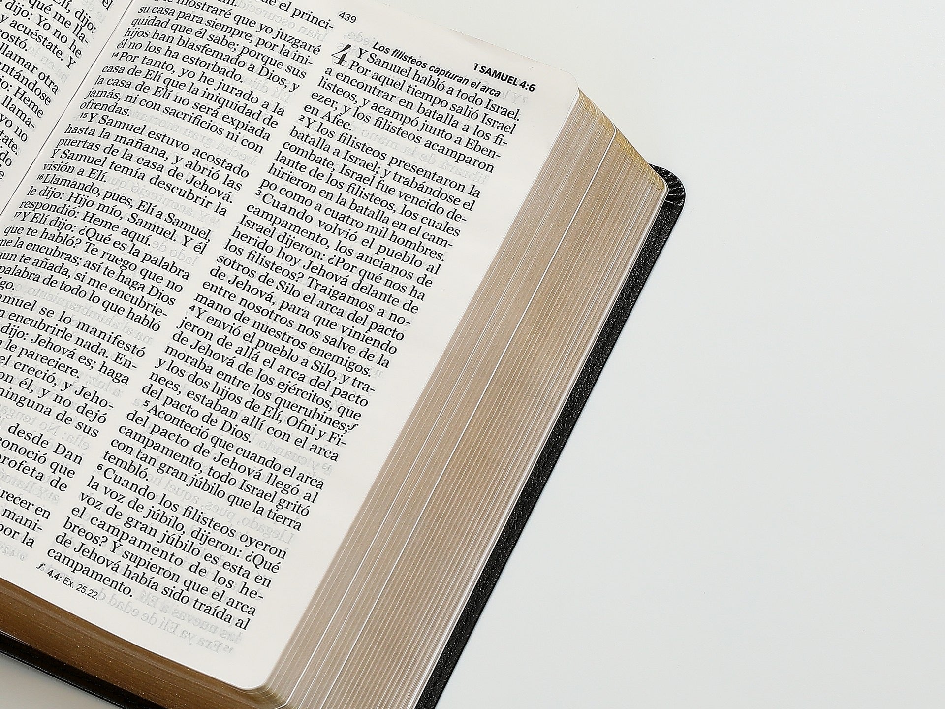 Biblia RVR60 Tamaño manual letra GIgante