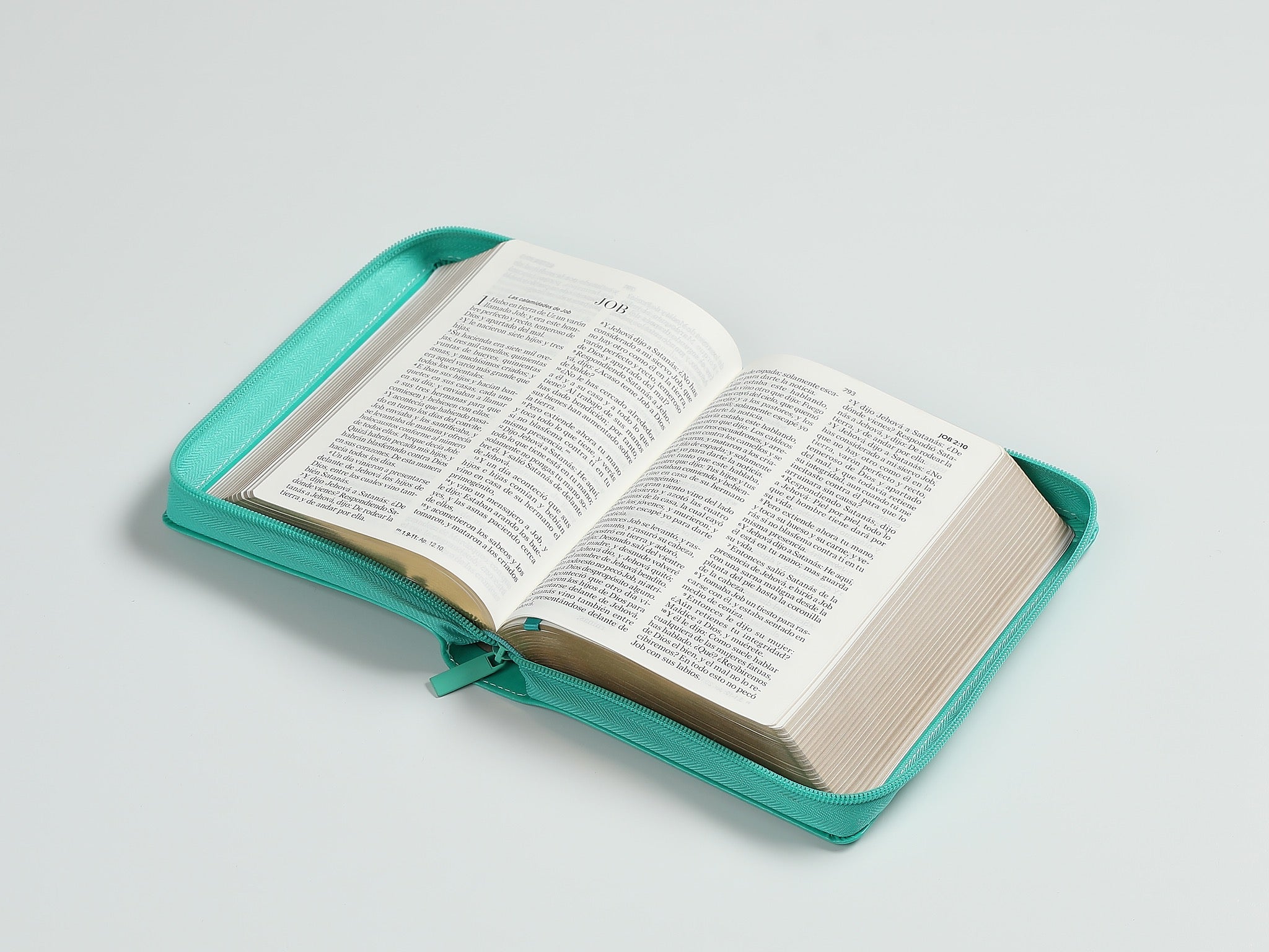 Libreria Cristiana Arca