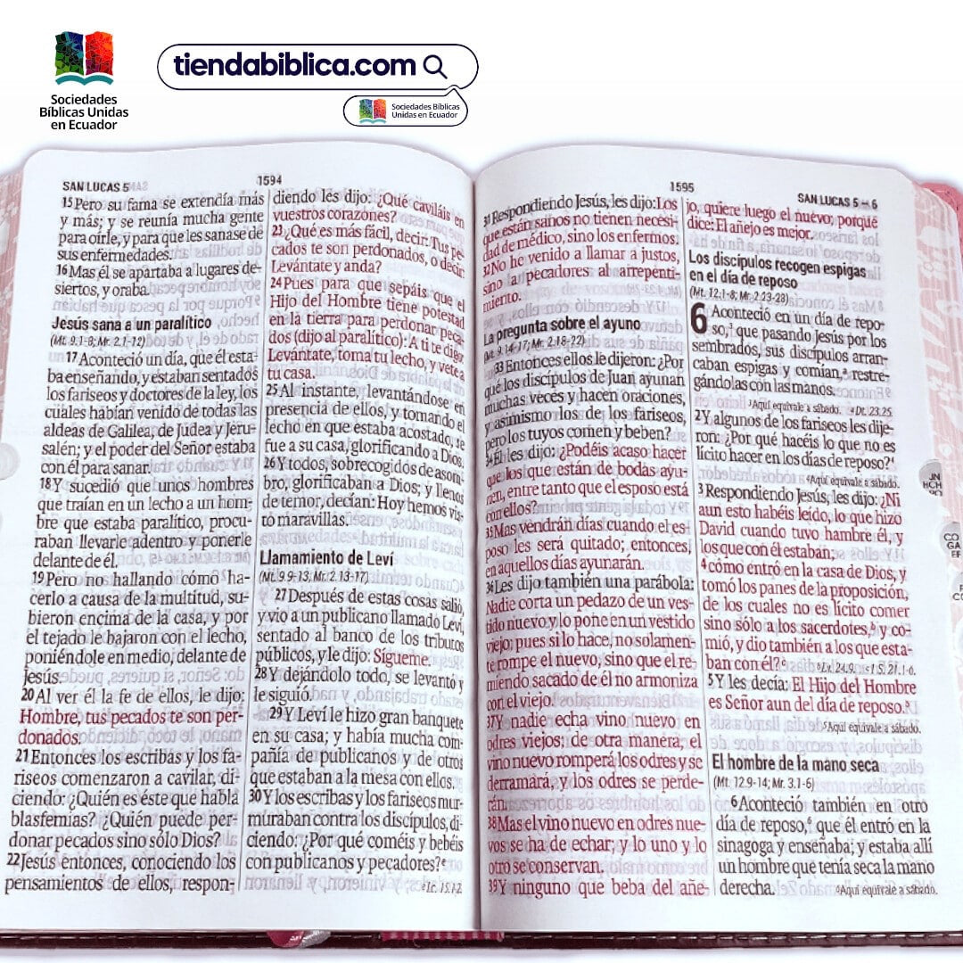 Libreria Cristiana Arca