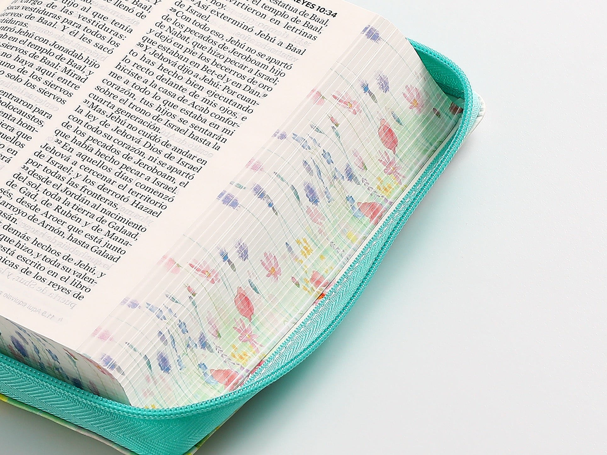 Biblia RVR 1960 Letra Grande Tamaño Manual