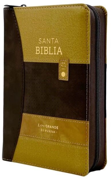 Libreria Cristiana Arca