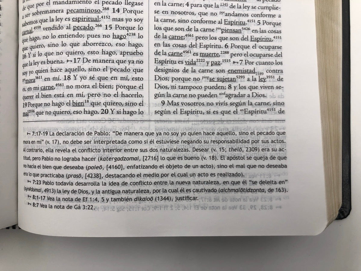 Libreria Cristiana Arca