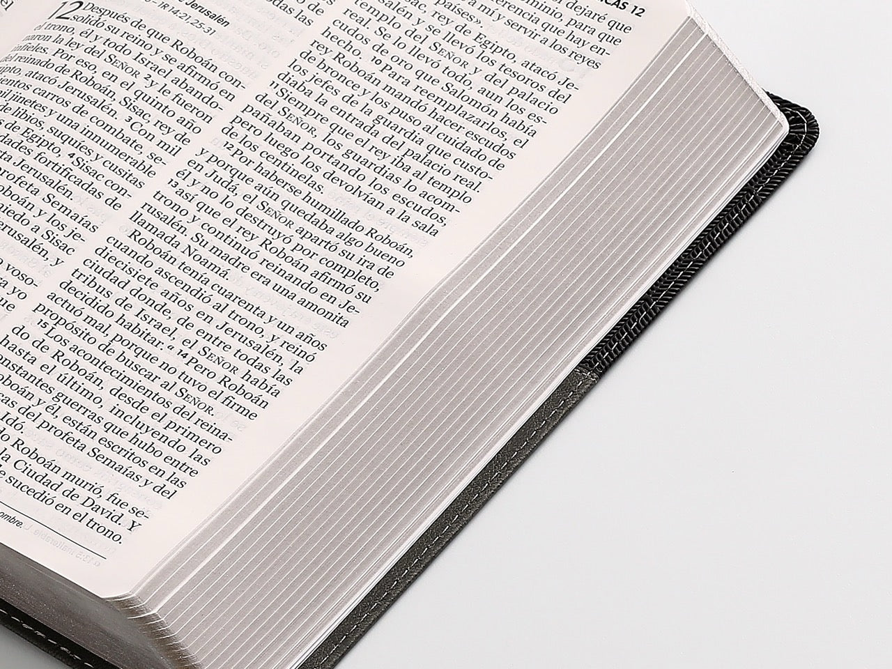 Libreria Cristiana Arca