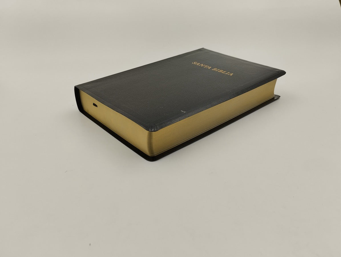 Biblia RVR 1960 Letra Grande Tamaño Manual Negro