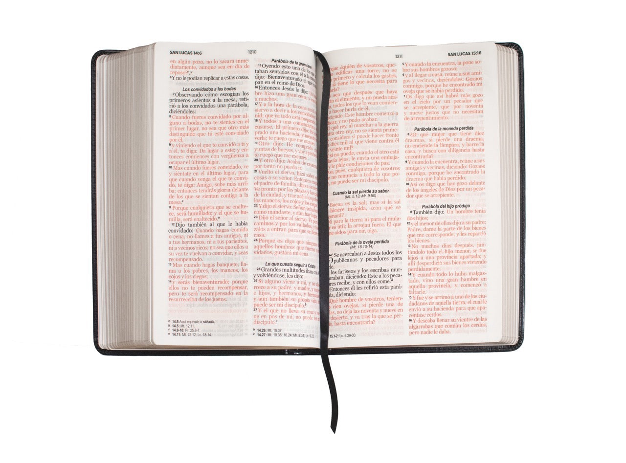 Biblia RVR60 Tamaño Manual Letra Grande negro